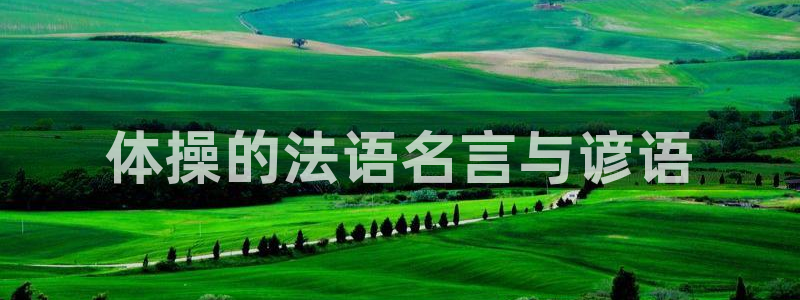 制胜体育手机版下载：体操的法语名言与谚语