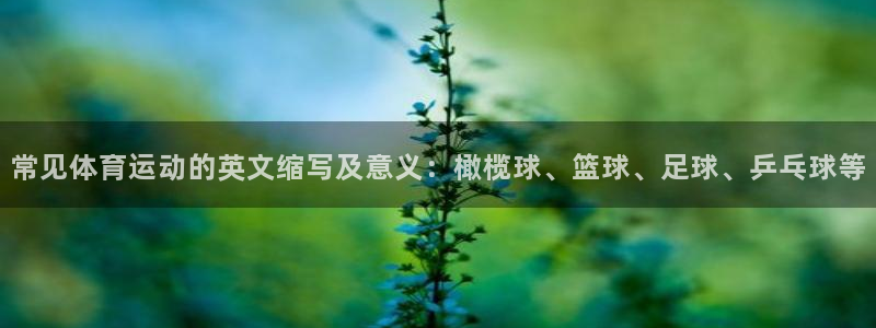 制胜体育平台app下载