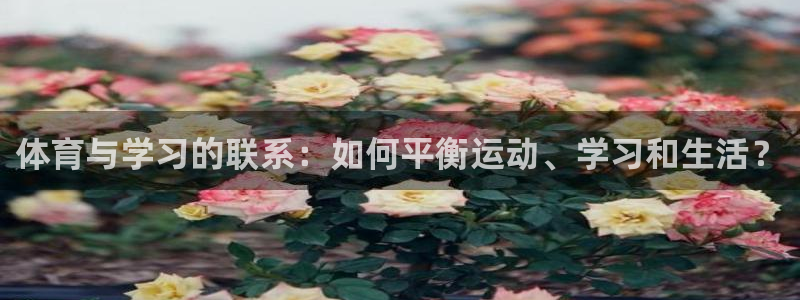 关键词：体育与学习的联系：如何平衡运动、学习和生活？