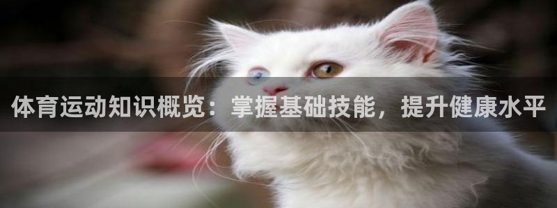制胜体育平台app下载