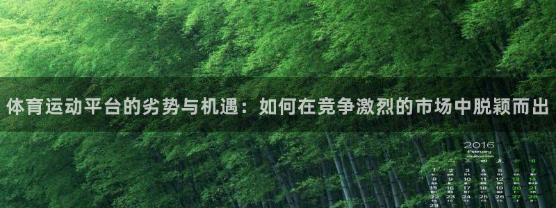 制胜体育苹果版下载：体育运动平台的劣势与机遇：如何在竞争激烈的市场中脱颖而出
