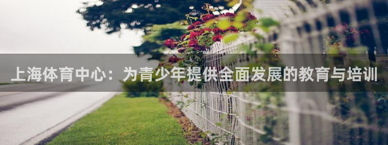 制胜体育新版本官网：上海体育中心：为青少年提供全面发展的教育与培训