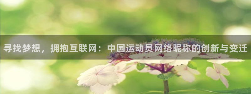 制胜体育app下载：寻找梦想，拥抱互联网：中国运动员网络昵称的创新与变迁