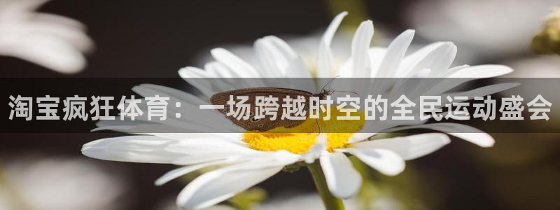制胜体育App下载