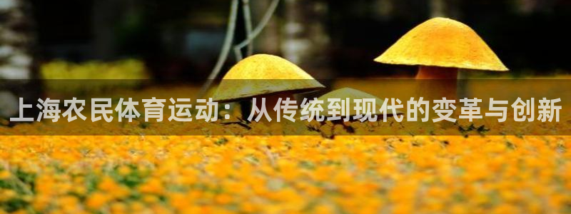 制胜体育