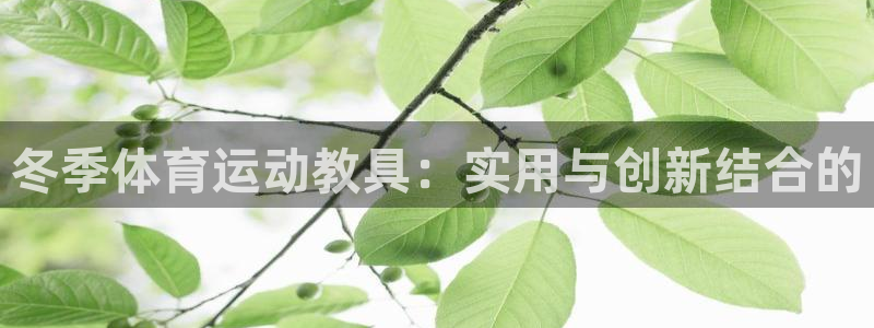 制胜体育今天最新消息