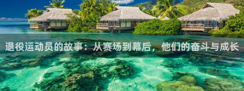 制胜体育：退役运动员的故事：从赛场到幕后，他们的奋斗与成长