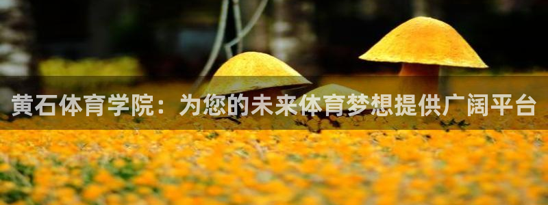 制胜体育IOS版下载：黄石体育学院：为您的未来体育梦想提供广阔平台